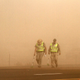 Illustration for article titled How Wind and Dust Are Spreading a Deadly Fungal Disease